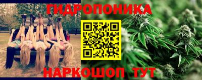 мяу мяу мука Будённовск