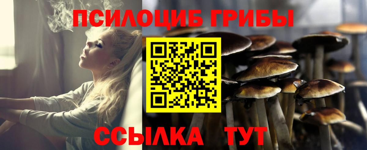 Галлюциногенные грибы Psilocybe  Вход с VPN  Радужный 